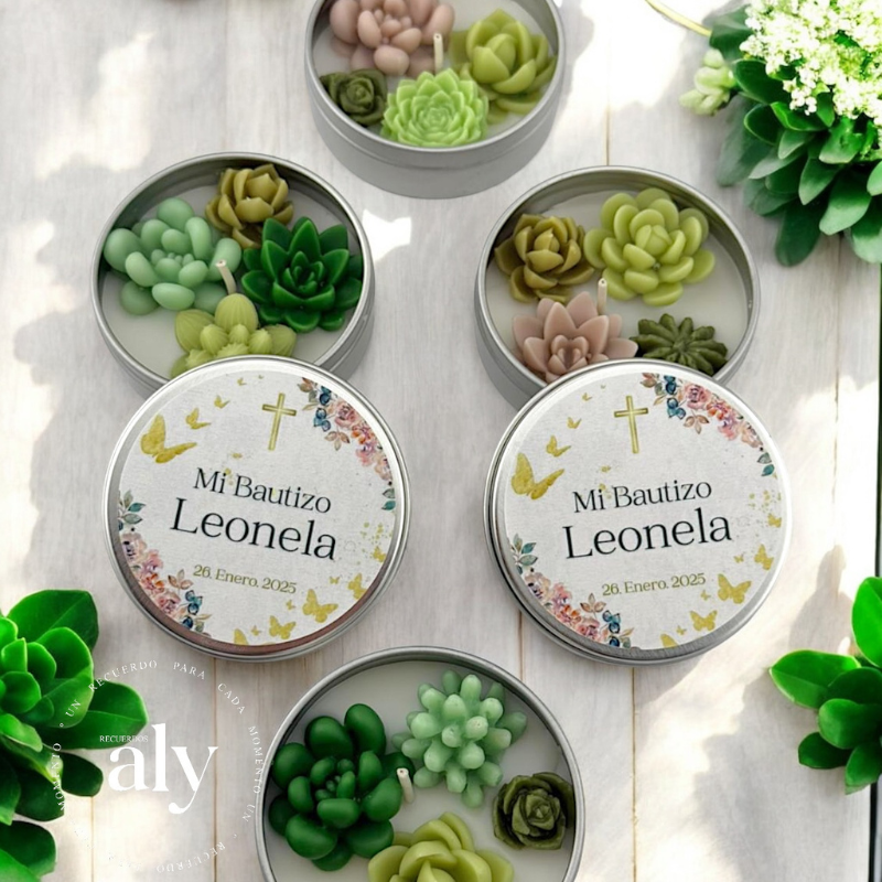Vela Lata Suculentas